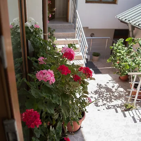 Къща за гости Byki Свети Влас