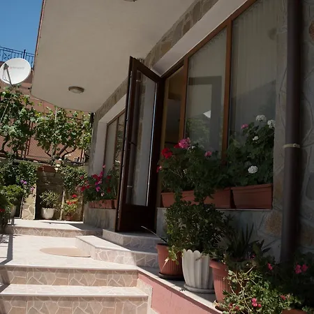 Byki Свети Влас